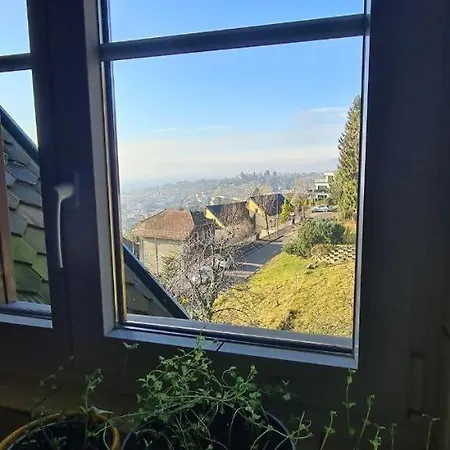 Panoramic View, Swiss Authenticity 1-9 Guests * مونترو